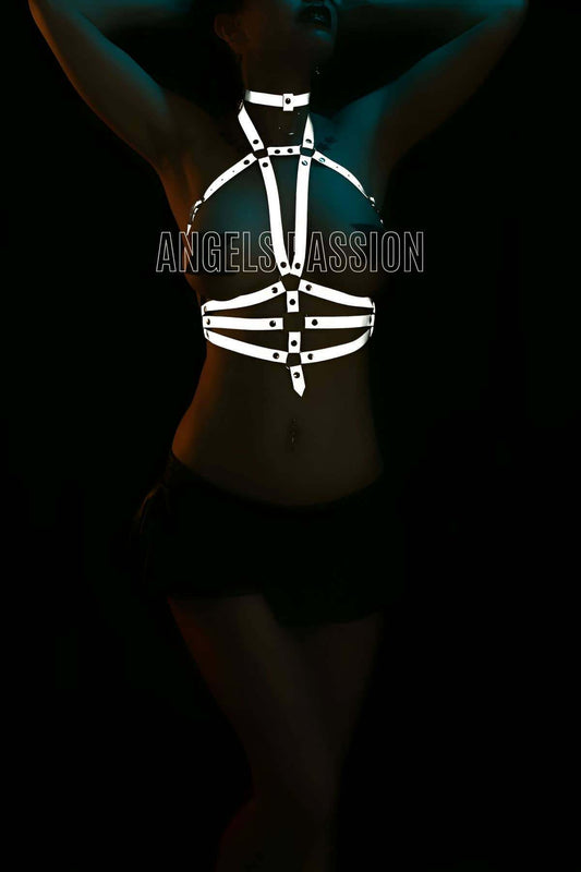 Stylish Reflective Chest Harness with Collar Detail