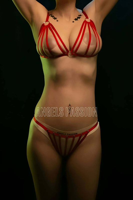 Elastic Harness Bra Panty Set