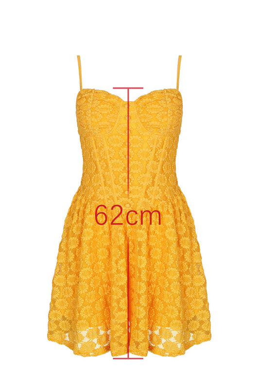 Carolina Apricot Lace Corset Mini Dress