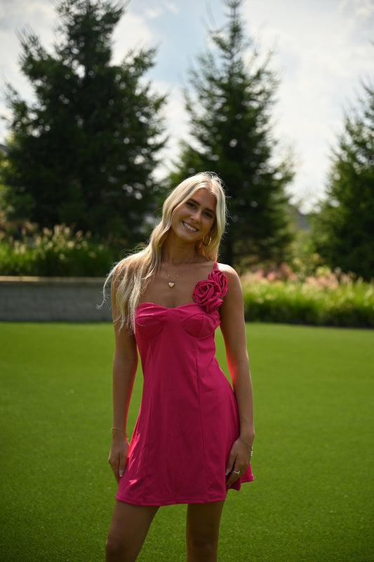 Tickled Pink Dress