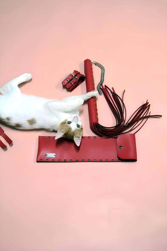 Whip - Handcuff Set, Whip Set, Fancy Handcuff Set