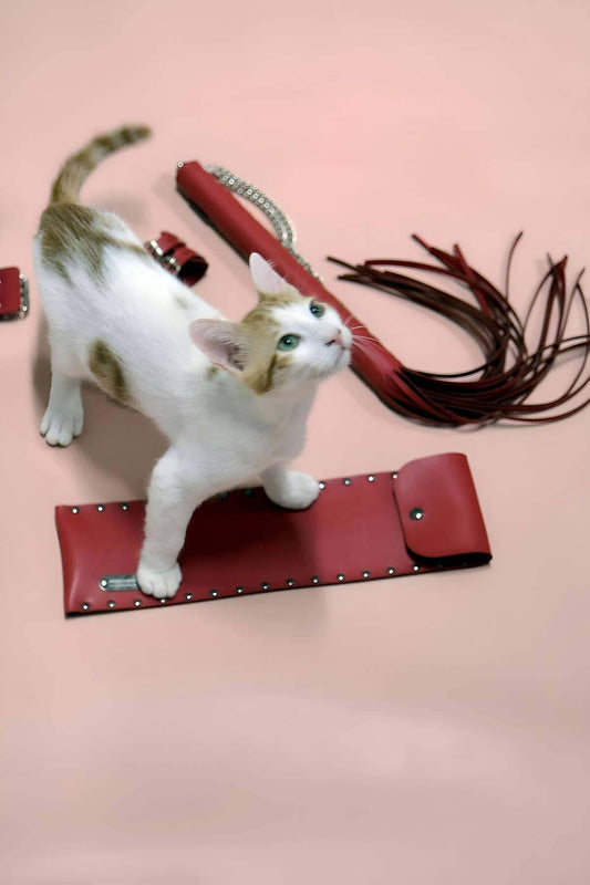 Whip - Handcuff Set, Whip Set, Fancy Handcuff Set