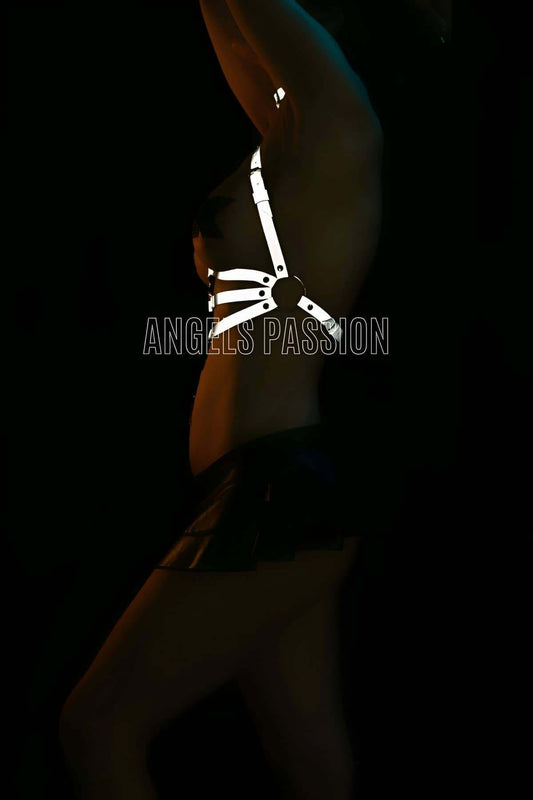 Stylish Reflective Chest Harness with Collar Detail