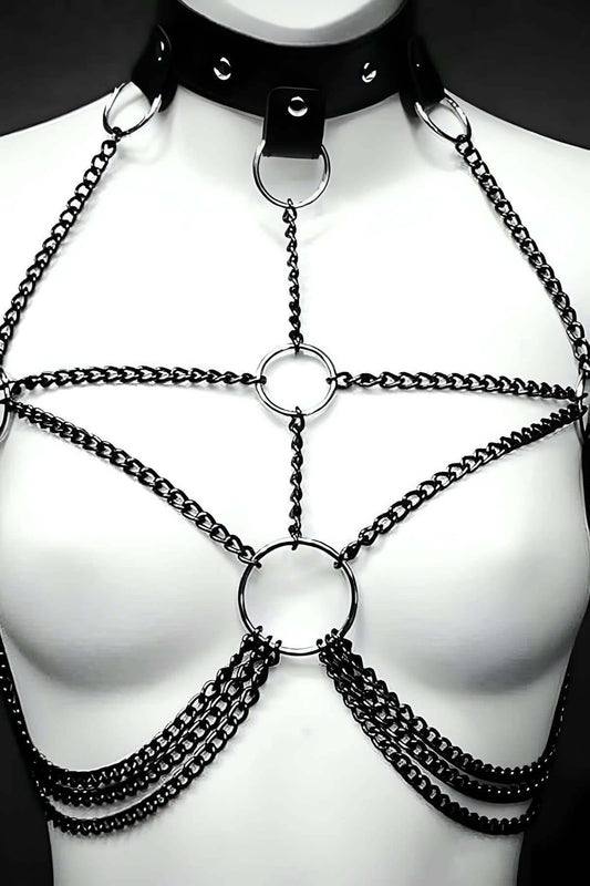 Stylish Harness with Chain Collar