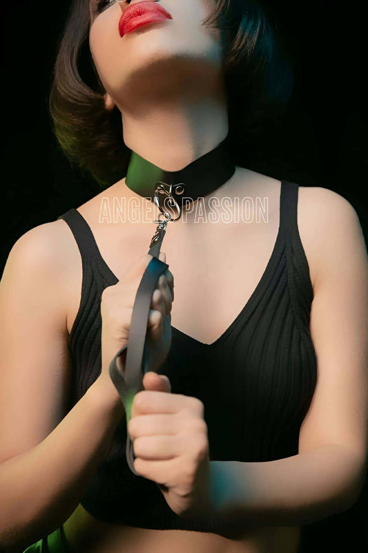 Sexy Leather Collar