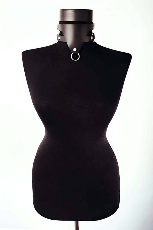 Special Production Leather Model - gay harness